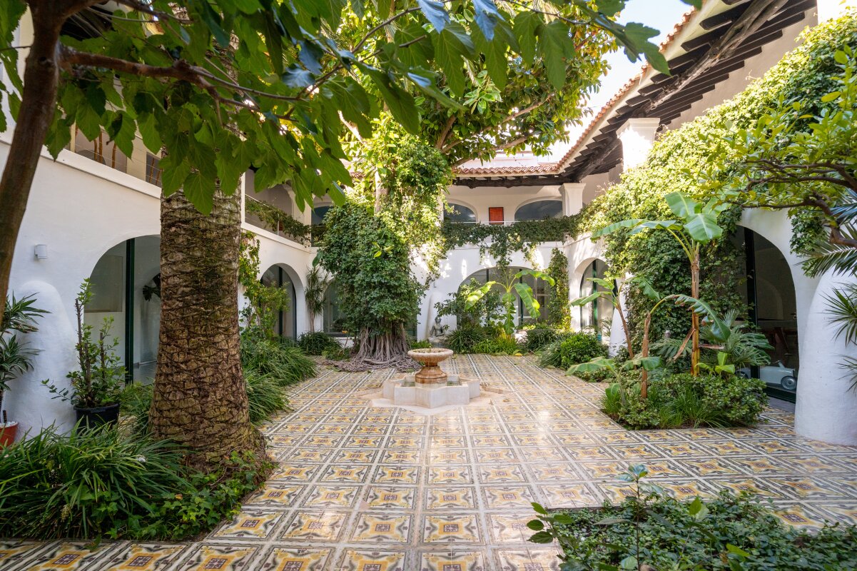 Terms and Conditions